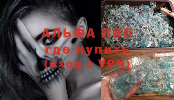 шишки Алзамай