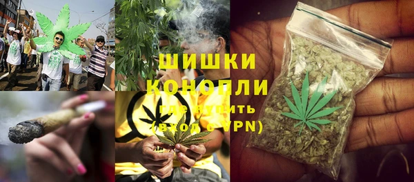 крисы Абдулино