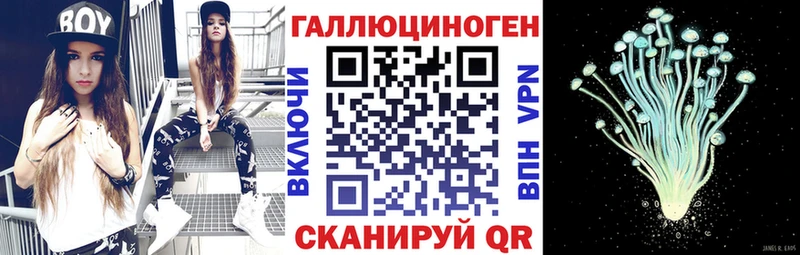 купить   Старая Русса  Галлюциногенные грибы MAGIC MUSHROOMS 